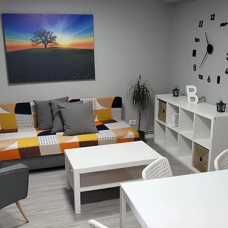 Apartament Paseo Casco Antiguo *